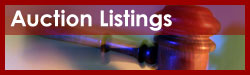 Auction Listings